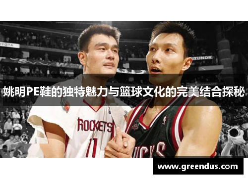 姚明PE鞋的独特魅力与篮球文化的完美结合探秘