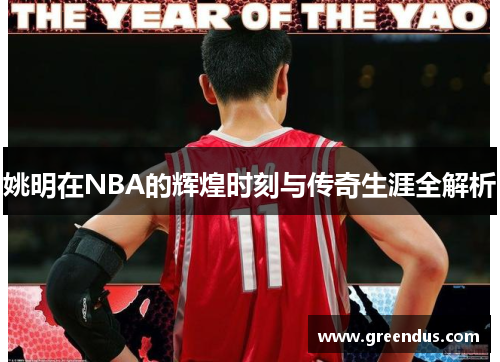姚明在NBA的辉煌时刻与传奇生涯全解析