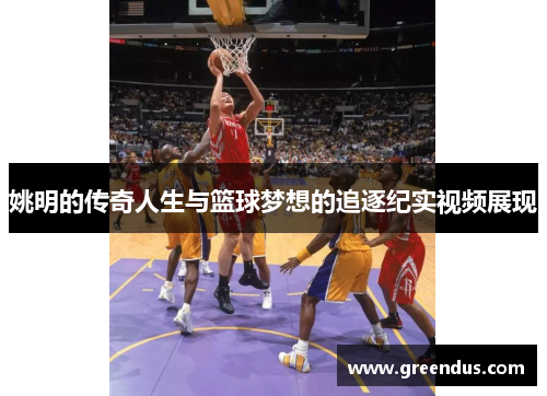 姚明的传奇人生与篮球梦想的追逐纪实视频展现