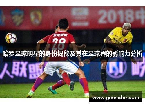 哈罗足球明星的身份揭秘及其在足球界的影响力分析